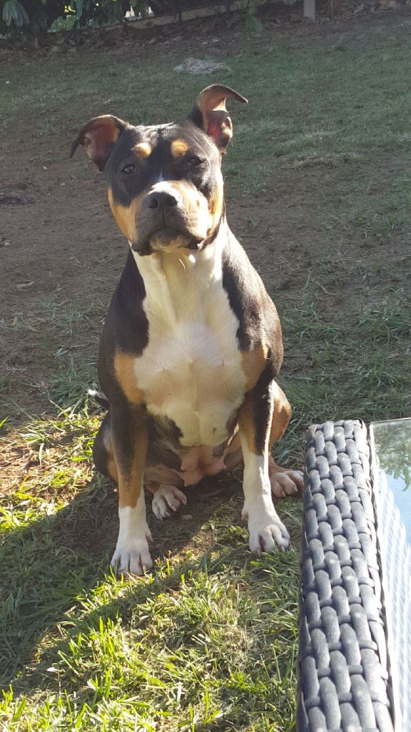 Luna dite inaya Legion of JSM